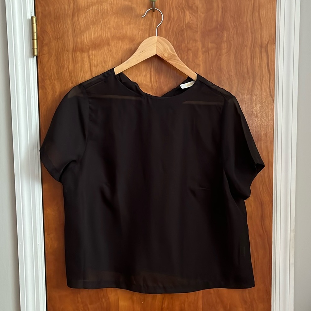 Tuesday Bassen size large chiffon shirt